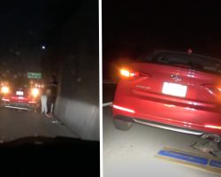 Good Samaritan Sees Eyes Staring Back In The Night Alongside Busy Freeway