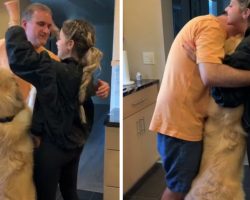 Charlie The Golden Retriever Always Butts In When People Hug Without Him