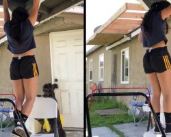 Dog Sees Mom Doing Pull-Ups And Pushes A Chair Under Her To ‘Help’