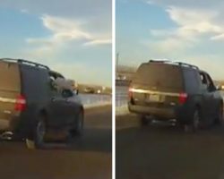 Man’s Driving When He Sees Unrestrained Dog Fall Out Of Car In Front Of Him