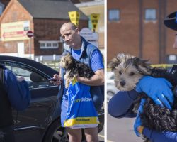 Man Shatters Window Of A Mercedes To Save Puppy Left In The Hot Car