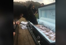 Horse at funeral says final goodbye to owner who wouldn’t give up on him
