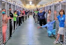 Shelter Celebrates Empty Kennel For The First Time Ever
