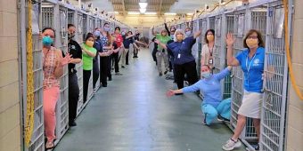 Shelter Celebrates Empty Kennel For The First Time Ever