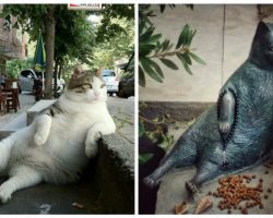 When a beloved street cat died, locals memorialized her by putting a statue of her in her favorite spot