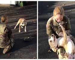 Army recruit crushed that her dog doesn’t recognize her after 8 months apart — until he leaps into her arms