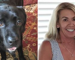 Missing woman with dementia found safe thanks to the loyal dog by her side