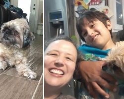 Stolen Mother’s Day Flowers Leads To Reunion Between Lost Dog And Owners After 2 Years