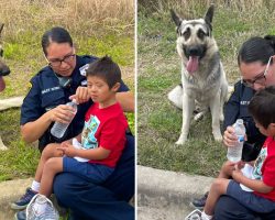 Missing 5-year-old boy with Down syndrome found with his loyal dog keeping him safe
