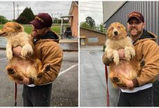 Family struck by tornado finally reunite with the dog who saved their lives