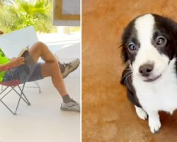 Man Camps Out At Shelter For Five Hours So He Can Adopt His Favorite Dog