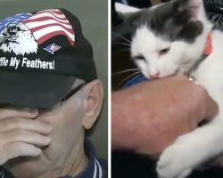 Elderly Man Breaks Down Talking About His Cat Saving His Life