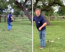 Man’s Walking Around The Yard When He Notices A Little Parade Behind Him