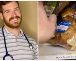 Popular Veterinarian Shows Dog Parents Things To Avoid At the Pet Supply Store
