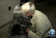 Nurse And Her Dog Reunited After The Camper Was Stolen With Her Pet Inside