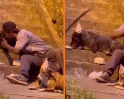 Heartwarming Story: Homeless Man Celebrates Dog’s Birthday