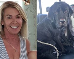Texas Woman With Dementia That Went Missing Was Rescued Through The Bark of Her Dog
