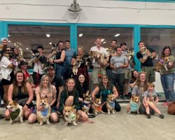 A Corgi Dog Race Was Held And Raised An Amount Of $3,000 For Saskatoon SPCA