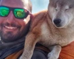 Blind Dog Hikes 1,100 Miles Trail With Her Owner