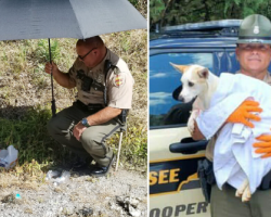 Trooper saves dog on the side of highway from scorching heat, then gives her a home