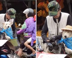 Before Riding Off In The Rain, Elderly Man Adorably Readies His Dog