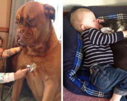 18 Photos Showing Why Every Kid Needs A Dog In Their Life