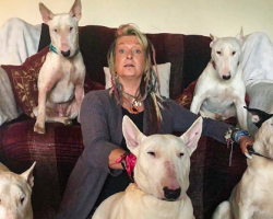 Woman thinks she married the love of her life until husband makes her choose between him and her dogs