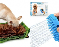 Dog Lovers Are Literally Scooping Up These Amazing Products On Amazon