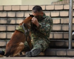 A Final Hug: The Soldier And His Dog Value Their Limited Time Together