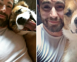 Chris Evans says adopting his dog Dodger was the ‘best decision of my life’