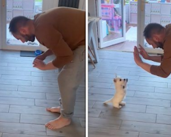 The Dad Who ‘Didn’t Want A Dog’ With The Puppy Now