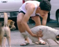 Guy Grabs Random Strays Off The Street And Gives Them Much-Needed Baths