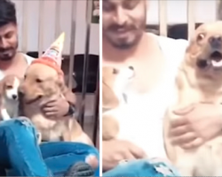 Little Pup Digs Deep For A Tiny Bark That Startles The Birthday Boy