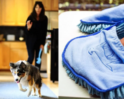 37 Pet Products That Foster Pet Parents Need And Will Love