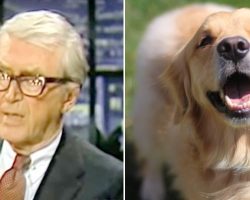 Jimmy Stewart Reads Touching Poem He Wrote For His Old Dog Named Beau