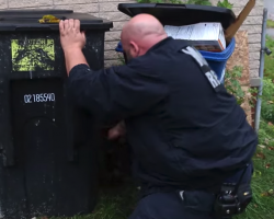 Man Thinks He’s Rescuing A Puppy, Reaches Behind Trash Can For More