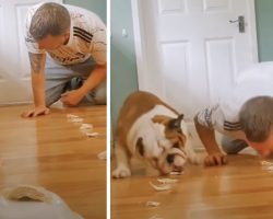 A Chip Eating Race Between Man And Dog Ends With Unsporstmanslike Conduct