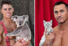 Australian firefighters pose with animals in calendar to raise money for charities