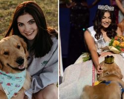 Disabled teen wins Miss Dallas pageant with the help of her service dog