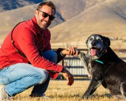 16-year-old shelter dog with cancer ‘totally reborn’ after foster gives him new lease on life