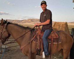 Horse reunites with owner after running off to live with wild mustangs in Utah desert for 8 years