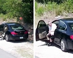 Man dumps dog and drives off, doesn’t realize a camera is recording his actions