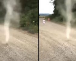 Dog Takes On Nature And Stops Tornado Before It Can Form