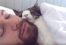 Man Takes In Unwanted Shelter Cat, And They Adopt Cute Bedtime Routine