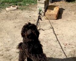 He Lived Tied To A Cinder Block His Whole Life Before Finding True Love