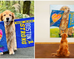 Spencer, famous Boston Marathon dog, is honored with portrait after terminal cancer diagnosis
