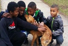 4 young boys rescue starving, abandoned dog tied to house with bungee cords