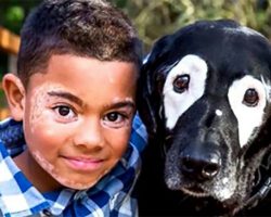 8-year-old boy learns to love his skin after discovering a dog with the same condition