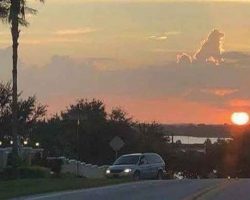 Photo of dog-shaped cloud reminds people of their beloved pets who are no longer among us