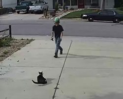 Boy approaches disabled cat – doesn’t realize the camera is recording his actions